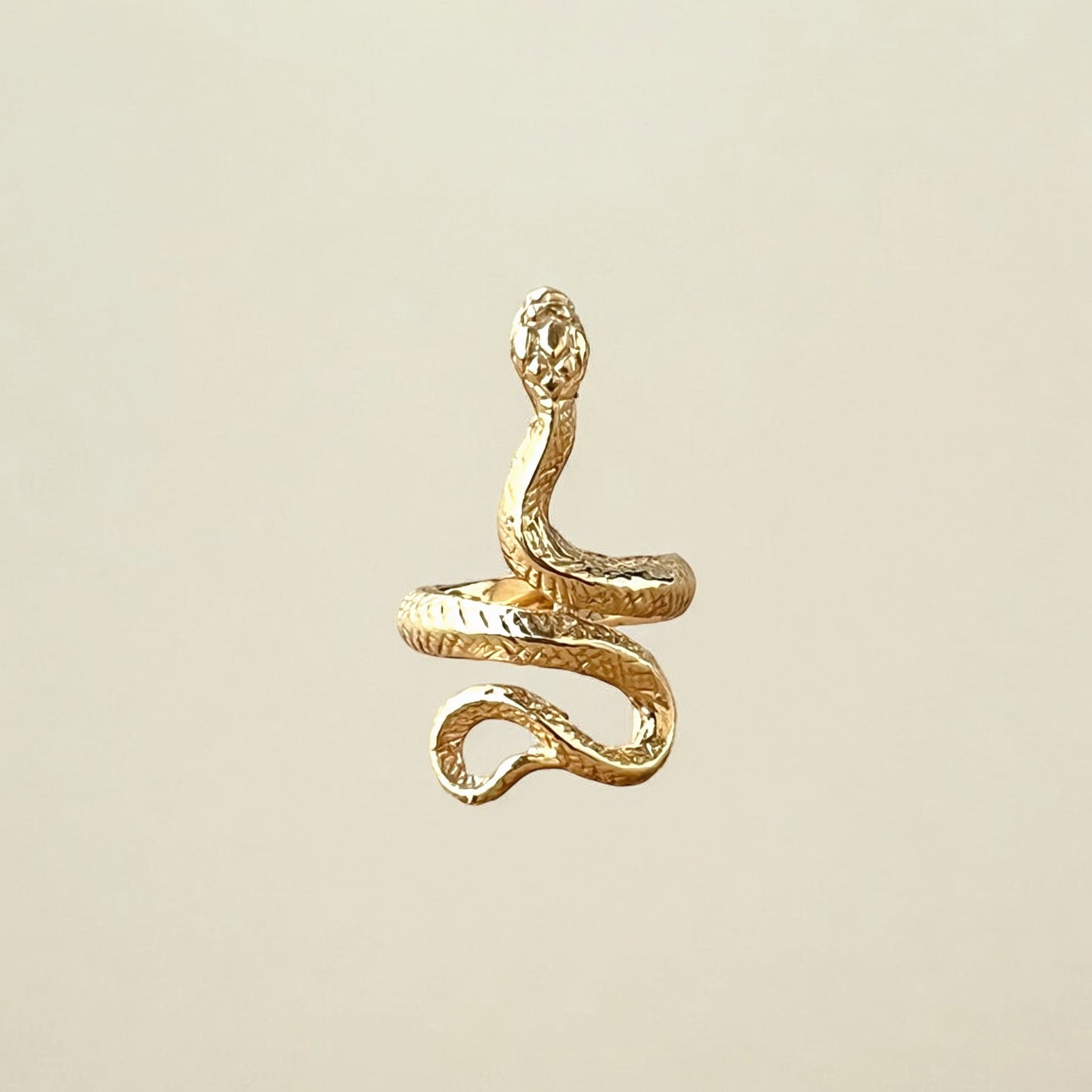 Anillo Snake Plata